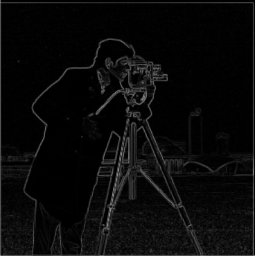 Cameraman Gradient Magnitude