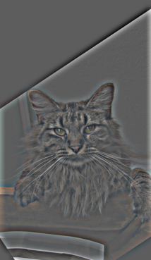 Cat High Frequencies